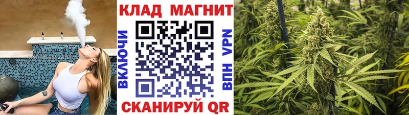 Виды наркотиков купить Шенкурск блэк спрут зеркало АМФЕТАМИН Меф мяу мяу Канабис Гашиш COCAIN СОЛЬ